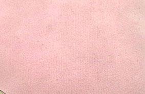 cosmetic carrying case detail 2.jpg