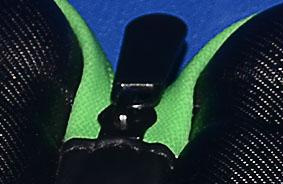 eva case detail 3.jpg